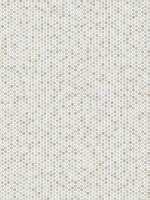 Calacatta Gold 1” Hexagon Mosaic Tile