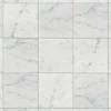 Carrara White