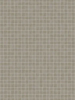 Gridscale Gris