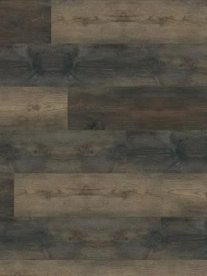 XL Cyrus Stable