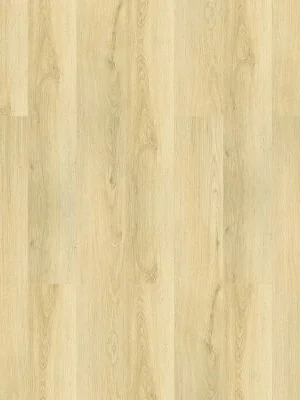 Smithcliffs Glenbury Oak