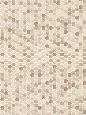 Sandhills Hexagon Mosaic Tile