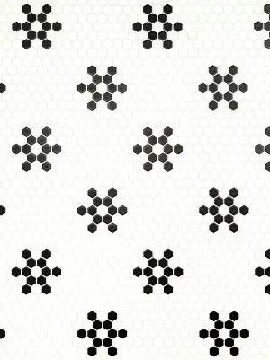 White And Black Mod Petal Pattern Matte