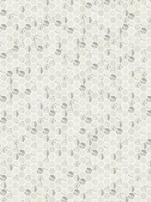 Statuario Celano Hexagon Mosaic Tile