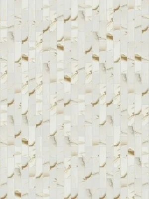 Calacatta Gold Matte Subway Tile 2x6