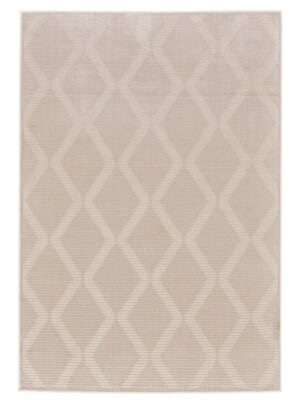 PRASAD Rug - 3678F-CRM000