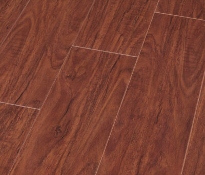 8207-Brazillian-Chestnut.jpg Brazilian Chestnut