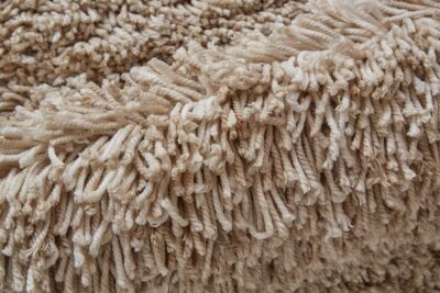 STONELEIGH Rug - 8830F-TPE000