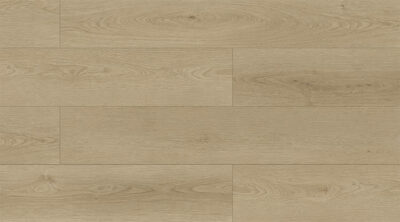 Venus Oak