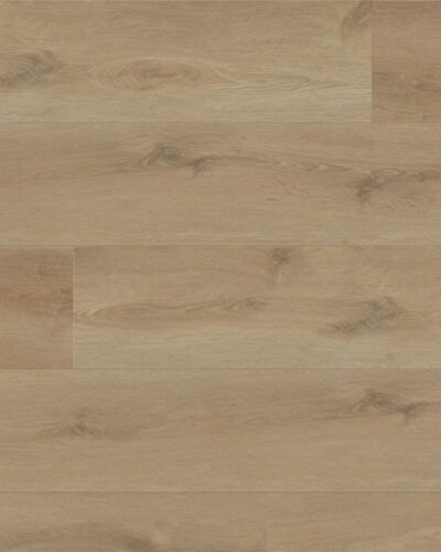 Top-EC830-Darlington-Feature-Image-thegem-product-catalog.jpg Darlington