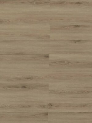 feathergrass-292010.jpg Feathergrass