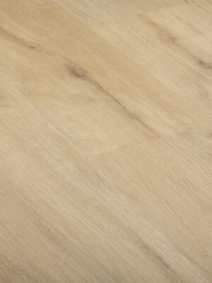 Northern Oak