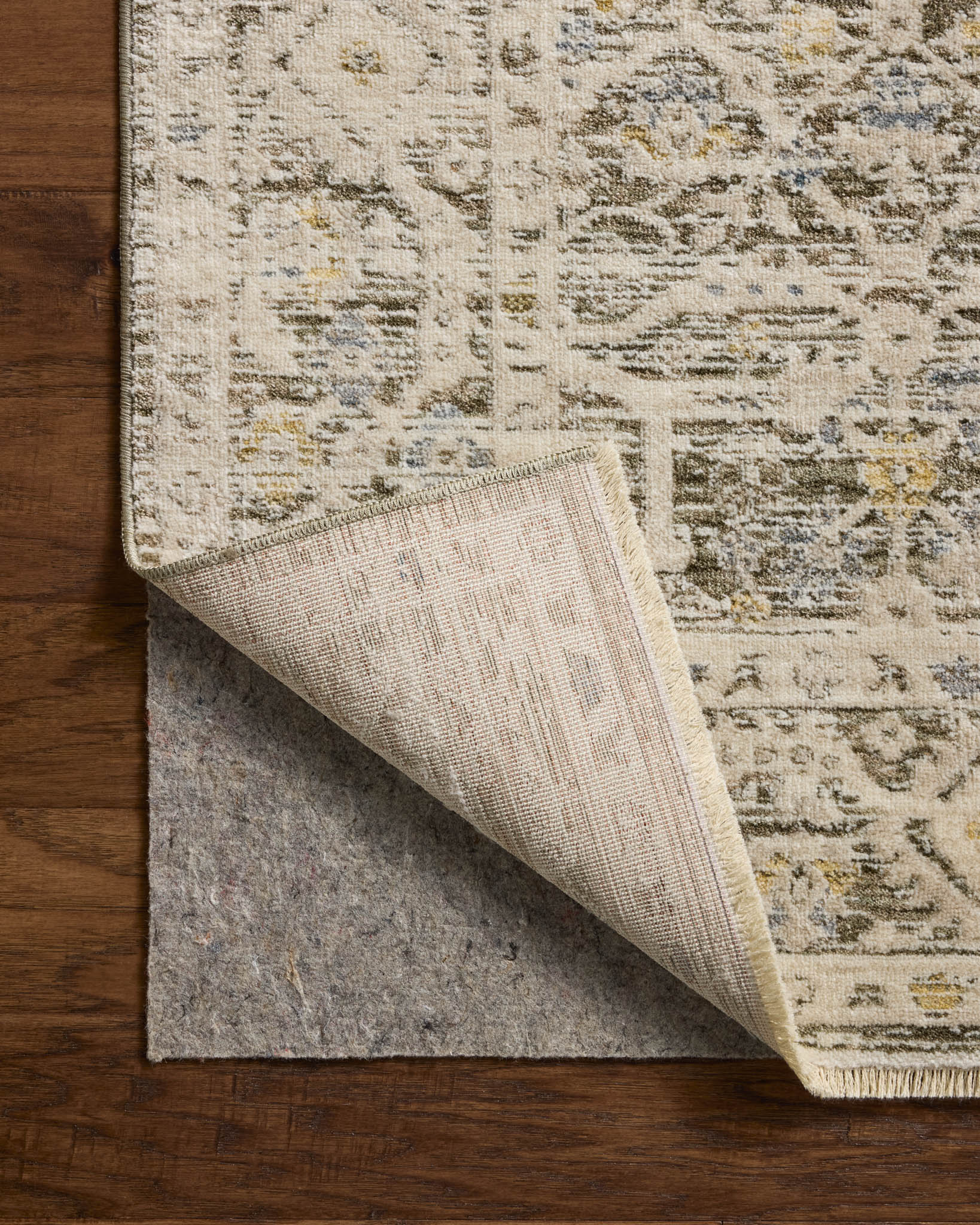 Clarisse - CLS-08 Olive / Ivory