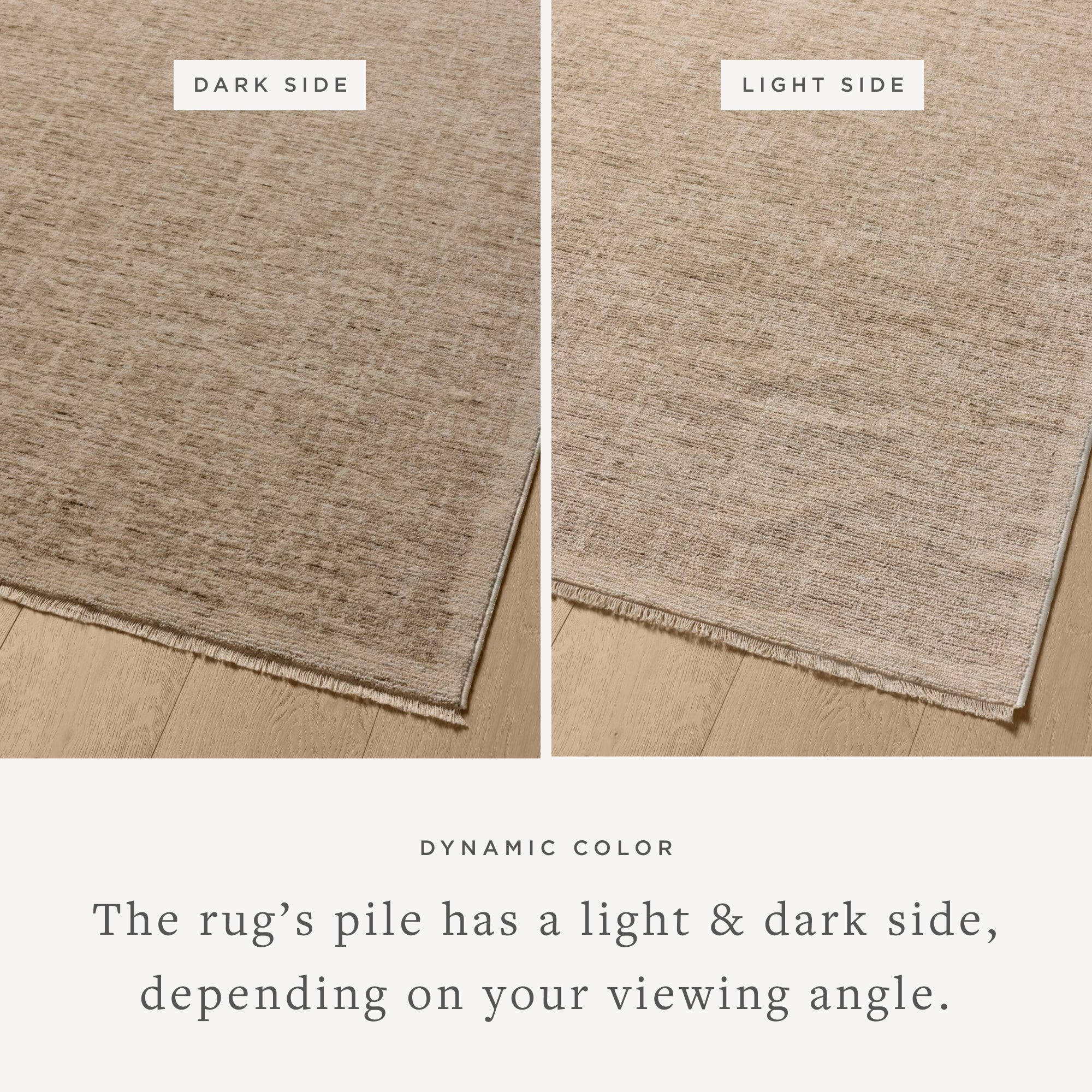 Winston - WIT-01 Taupe / Bone