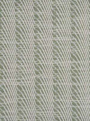 Ravishing Stripe Ravst Agave
