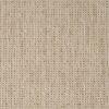 Samba Parchment