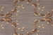Ashton House Ribbon Trellis A01F Haze Broadloom