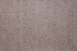 NOURISON_SPLENDOR_SPLND_SPLENDORWAVE_SPLWV_ASH_SAMPLE-3.jpg Splendor Wave Splwv Ash Broadloom