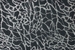 Starlight Kinetic Sta05 Blacklight Broadloom