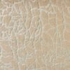 Starlight Kinetic Sta05 Sunlight Broadloom