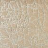 Starlight Kinetic Sta05 Sunlight Broadloom
