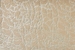 Starlight Kinetic Sta05 Sunlight Broadloom