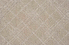 Danbury Plaid Dbpld Parchment