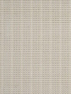 Roxbury Stripe Roxst Silver Lining