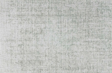 Satin Sheer Satsh Fern