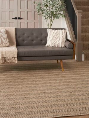 Seasons Modern Chevron Mdnch Sisal