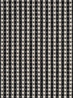 Twill Dalmatian