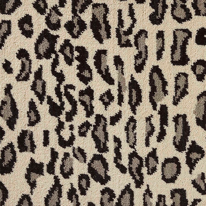 Wildlife Snow Leopard Wld01 Snow