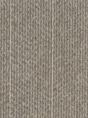Pacific Stripe Pacst Herth