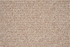 Yosemite Ysmte Maple
