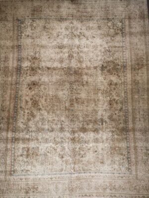 Artemisa 224 Multi 9' 2" X 11' 8"