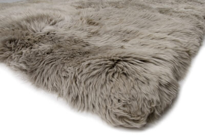 Alaska Silver