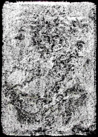 Dallas Black White