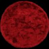 Dallas Red