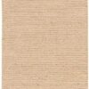 Natural Jute Njt01 Bleached Area Rug
