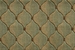 Cosmopolitan Shadowlure C26F Light Green Broadloom
