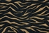 Cosmopolitan Urban Tiger C29F Midnight Broadloom