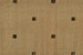 Cosmopolitan Cosmo Square C31F Beige Broadloom