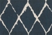 nourison_twilight_twili_twilight_trellis_twtrl_twstr_navy_navy_sample-5.jpg Twilight Trellis Twtrl Navy Broadloom