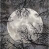 Twilight Twi17 Moon Rug