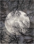Twilight Twi17 Moon Rug