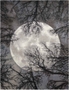 Twilight Twi17 Moon Rug