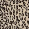 Wildlife Snow Leopard Wld01 Snow