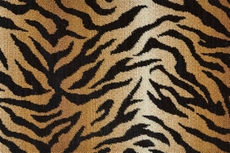 Wildlife Bengal Wld03 Natural