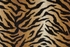 Wildlife Bengal Wld03 Natural